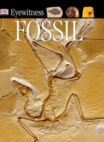 Fossil (Eyewitness)