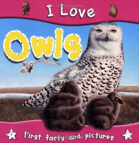 I Love Owls