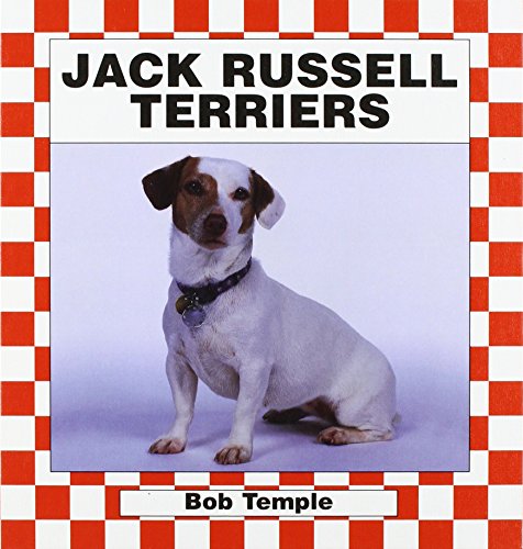 Jack Russell Terriers