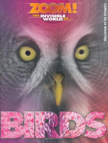 The invisible world of birds