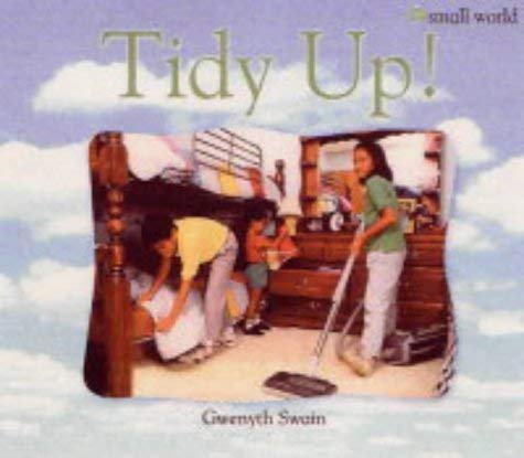 Tidy Up!: Large (Small World)