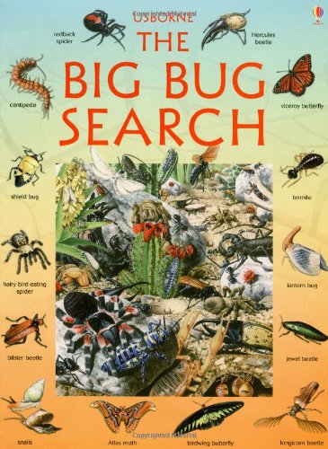 The Big Bug Search (Look/Puzzle/Learn Series) (Great Searches (EDC Paperback))