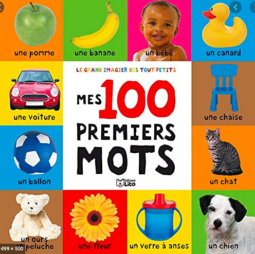 100 Premiers Mots (First 100 Words S.)