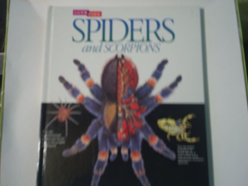 A Look Inside Spiders and Scorpions (Look Inside (Heinemann)_)