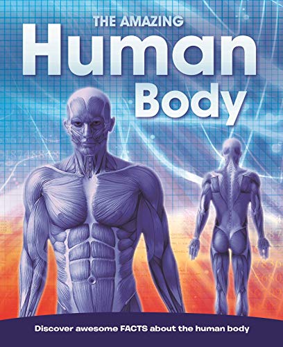 Amazing Human Body