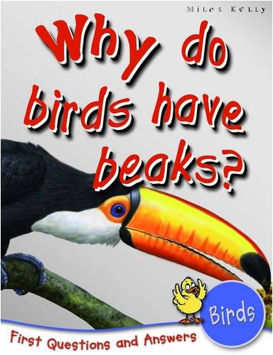 Birds: Why Do Birds Have Beaks? (First Questions And Answers)