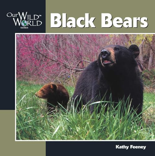 Black Bear (Our Wild World)