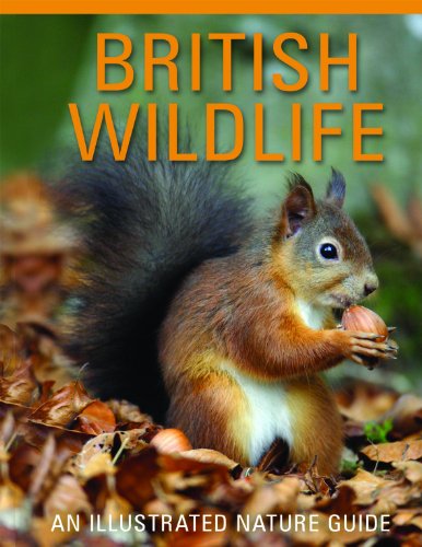 British Wildlife