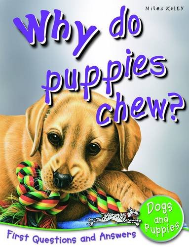 Dogs And Puppies: Why Do Puppies Chew? (First Questions And Answers)