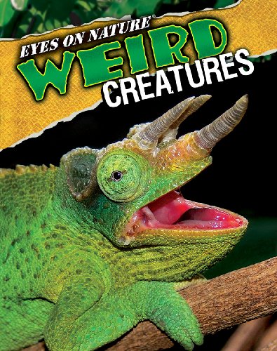 Eyes on Nature Weird Creatures