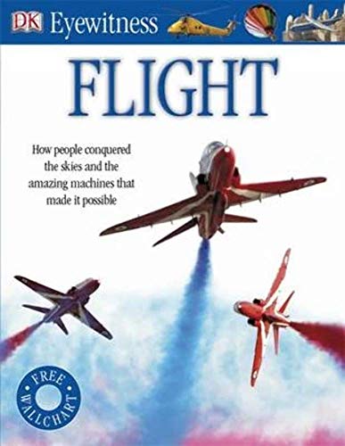 Flying Machine (Eyewitness)
