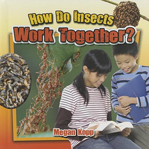 How Do Insects Work Together? (Insects Close-Up)