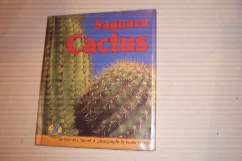 Saguaro Cactus (Early Bird Nature)