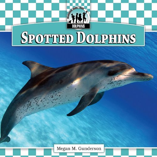 Spotted Dolphins