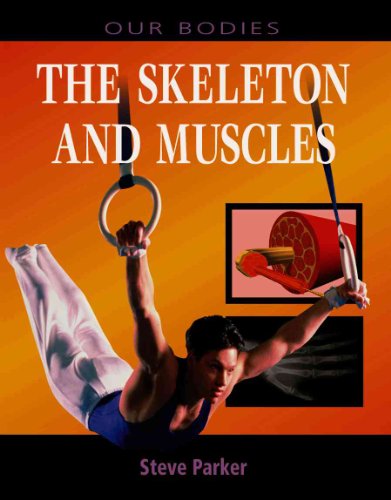 The Skeleton and Muscles (Our Bodies (Heinemann Hardcover))