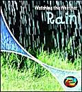 Watching the Weather: Rain