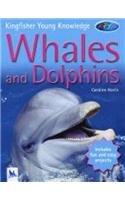 Whales and Dolphins