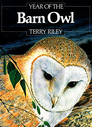 Year Of The Barn Owl