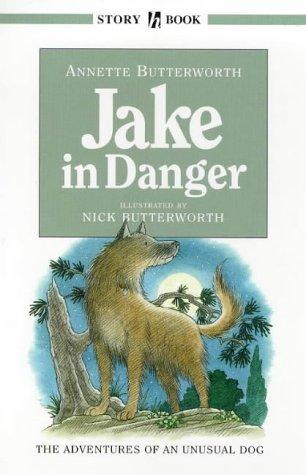 Jake in Danger (Hodder story book)