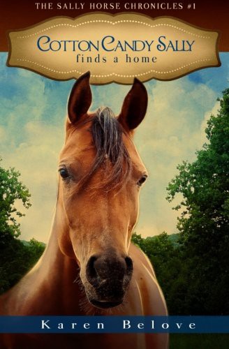 Cotton Candy Sally Finds a Home (The Sally Horse Chronicles)