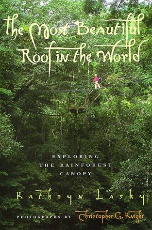 The Most Beautiful Roof in the World: Exploring the Rainforest Canopy