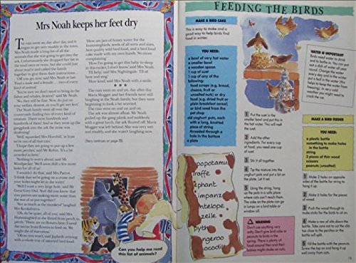 Mrs. Noah's Rainey Day Book