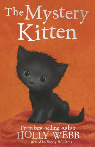 The Mystery Kitten