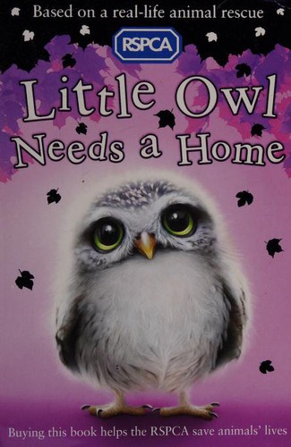 Little Owl Needs A Home (RSPCA)