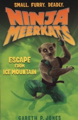 Mystery of Ice Mountain (Ninja Meerkats)