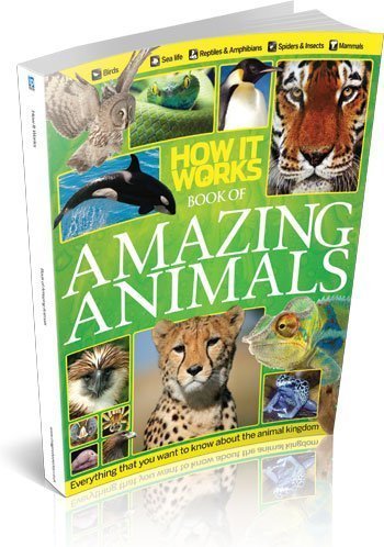 How IT Works Book of Amazing Animals