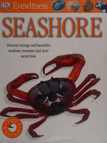 Seashore (Eyewitness)