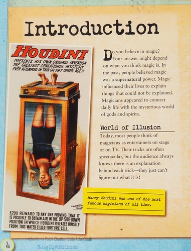 Magic and Illusions (Mystery Files)