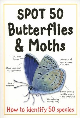 Spot 50 Butterflies & Moths. Camilla de La Bedoyere (Large Spot 50 Series)