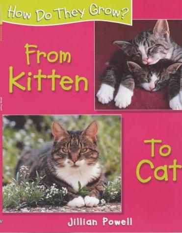From Kitten to Cat