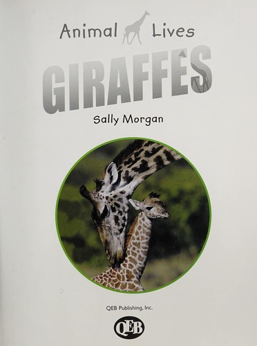Animal Lives: (8 - Set) Second Series (QEB Animal Lives: Bees & Wasps, Orangutans, Eagles, Alligators & Crocodiles, Tortoises & Turtles, Giraffes, Sharks, Bears, A $70 Value)