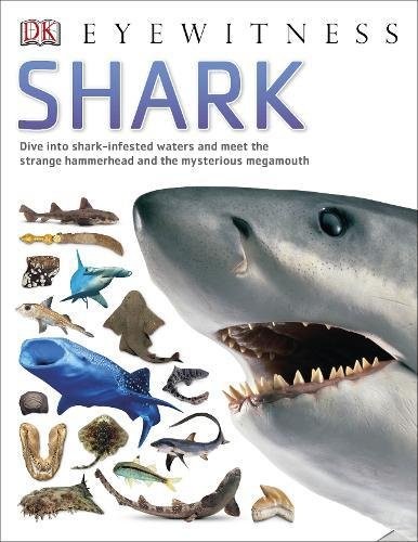 Shark (Eyewitness)