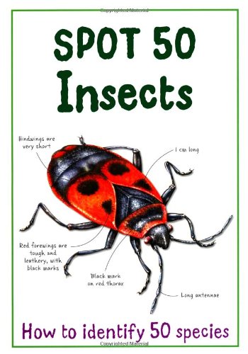 Spot 50 Insects. Camilla de La Bedoyere (Large Spot 50 Series)