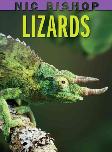 Nic Bishop: Lizards (Booklist Editor's Choice. Books for Youth (Awards))