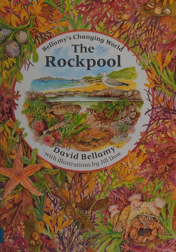 Rockpool