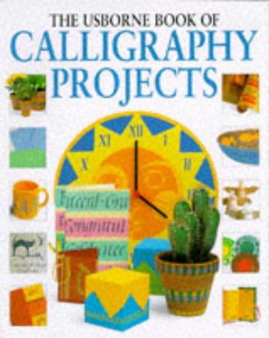 The Usborne Book of Calligraphy Projects (Usborne Practical Guides)