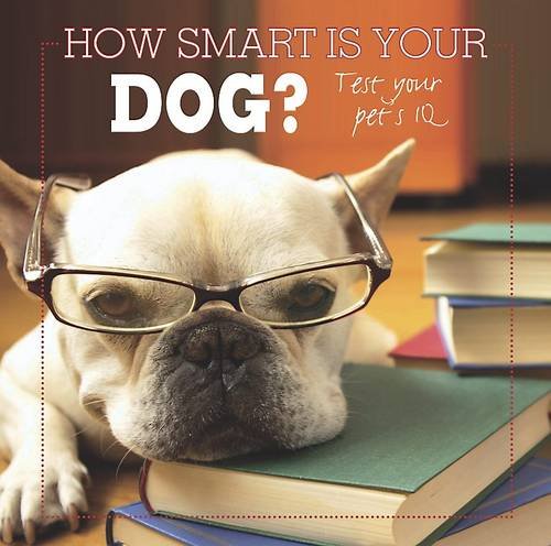 How Smart Is Your Dog