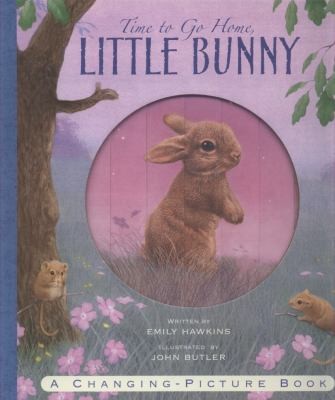 Time To Go Home Little Bunny