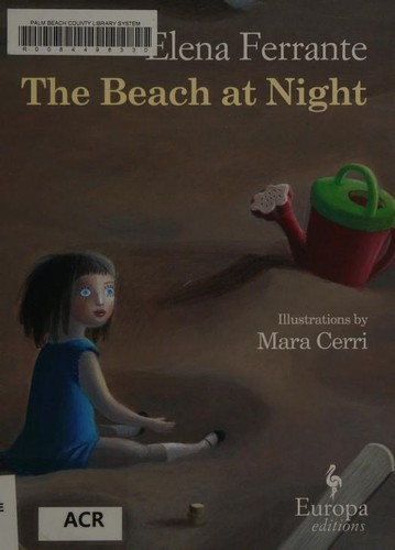 The Beach at Night
