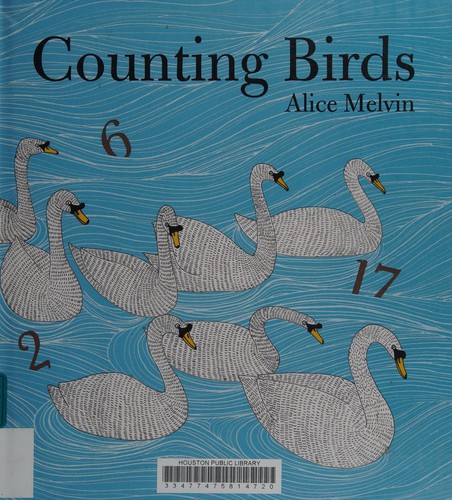 Counting Birds