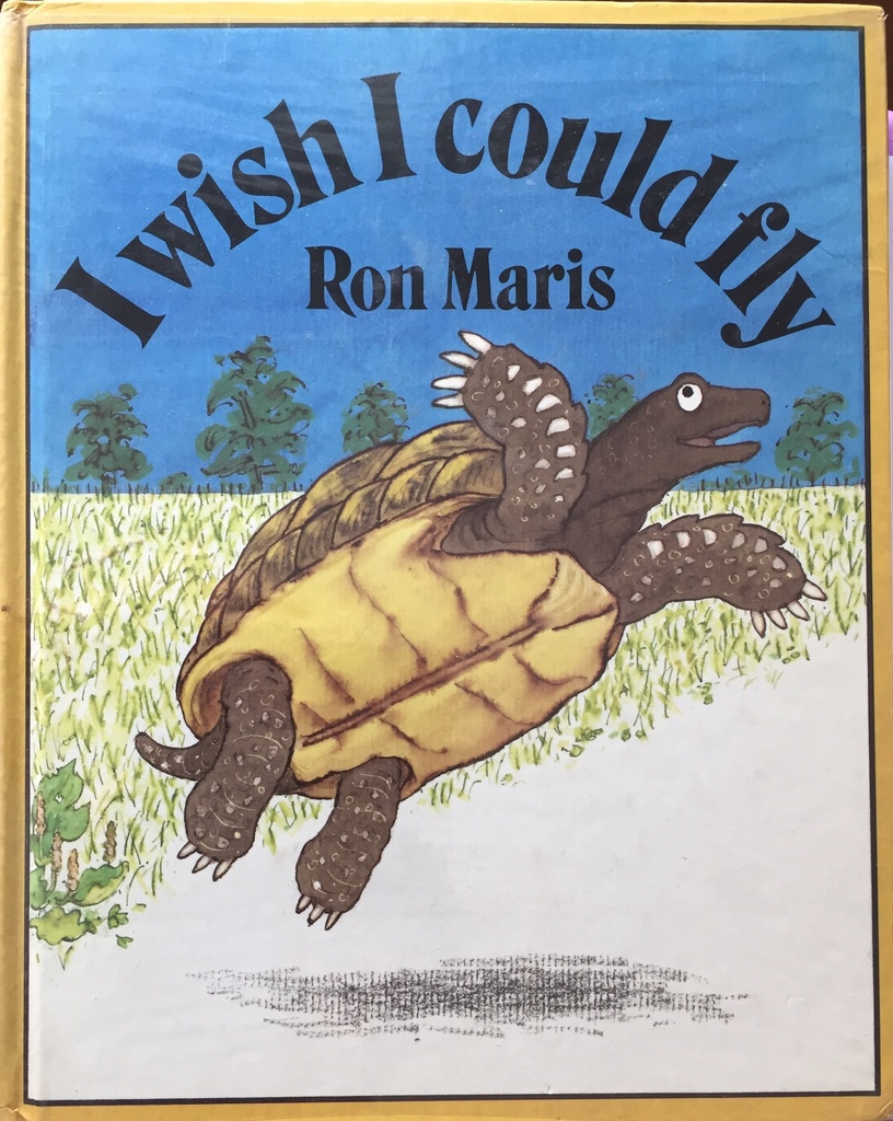 I Wish I Could Fly