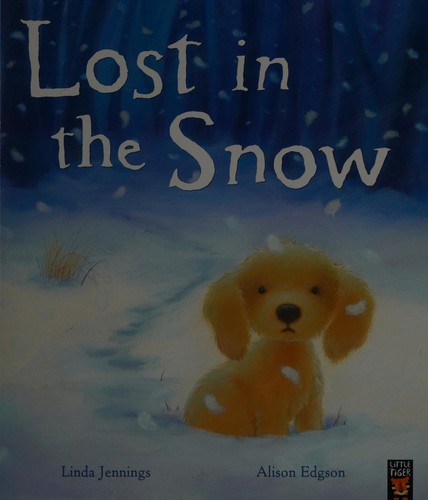 Lost in the Snow