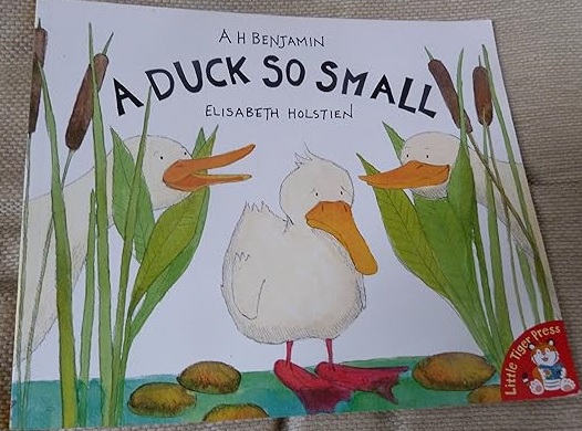 A Duck So Small