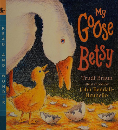 My Goose Betsy (Read & Wonder)