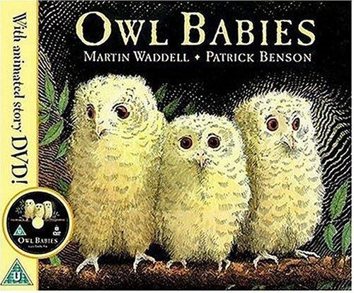 Owl Babies