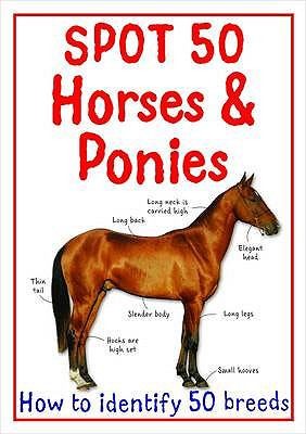 Spot 50 Horses and Ponies (Spot 50's)